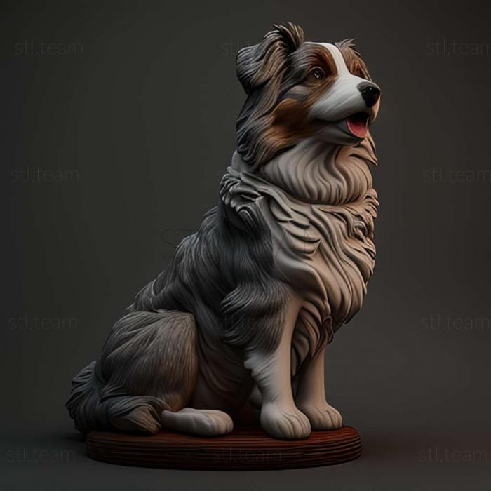 3D model Australian Shepherd dog (STL)
